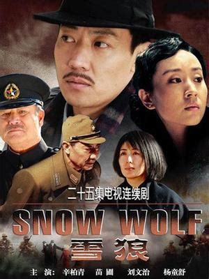 苍狼(Blue Wolf)-电视剧-腾讯视频