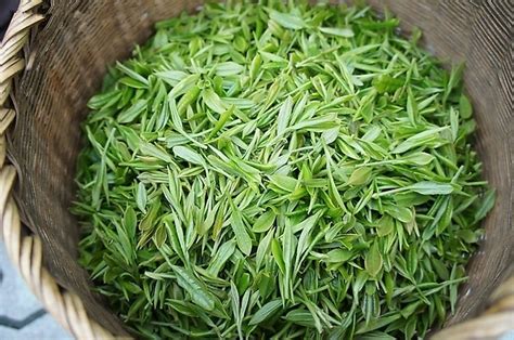 中国十大最有名的茶叶排行榜：品鉴顶级茗茶 - 烟酒