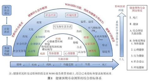 中国健康预期寿命指标体系构建