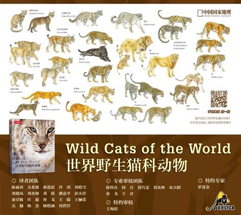 中国珍稀野生动物分布变迁 - 快懂百科