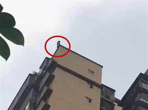 实拍：6岁女童不慎跌落12米高阳台 坠楼后瞬间起身跑掉！_凤凰网视频_凤凰网
