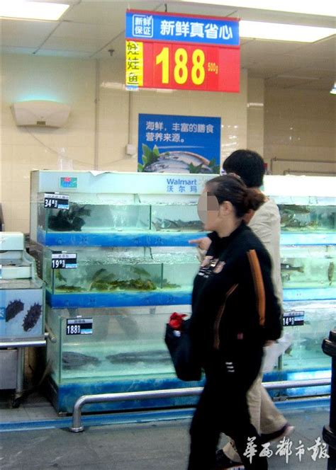 成都一超市卖娃娃鱼 手续不全被紧急叫停-搜狐新闻