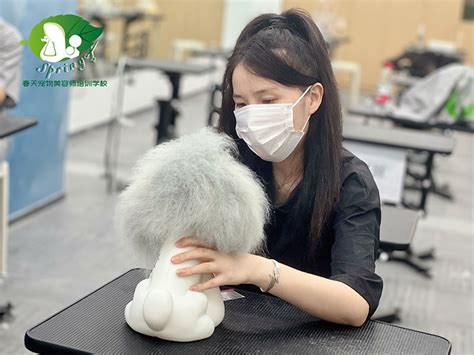 南京春天宠物美容师培训-长期免费进修开店扶持服务
