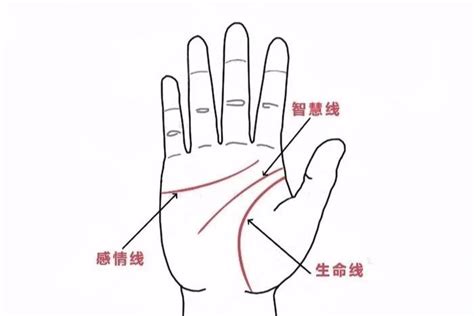 手相分析有两条感情线代表什么 手相 感情线-周易算命网