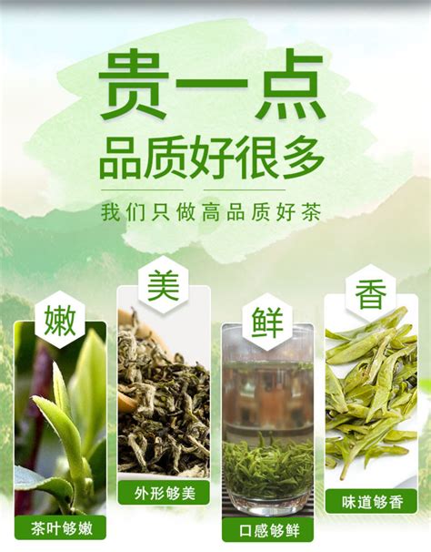 云雾茶图册_360百科