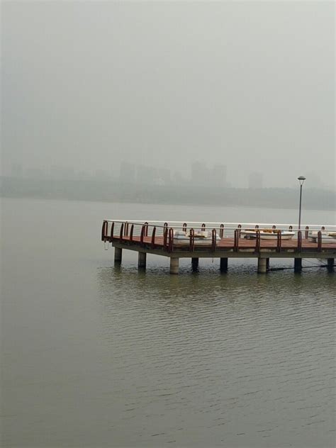 “水韵五河·魅力沱湖”全国摄影作品展入展作品—中国摄影报