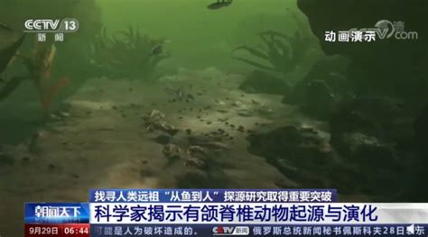 【中国网】“从鱼到人”探源获重大突破 揭示有颌脊椎动物崛起----奋进新时代 中国科学院创新成果报道