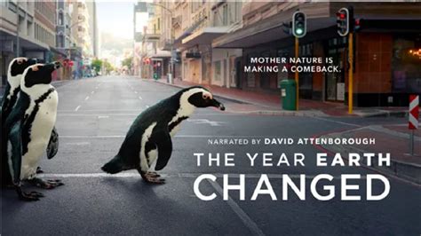 《地球改变之年》：以全新视角审视人类与自然。|地球|纪录片_新浪新闻