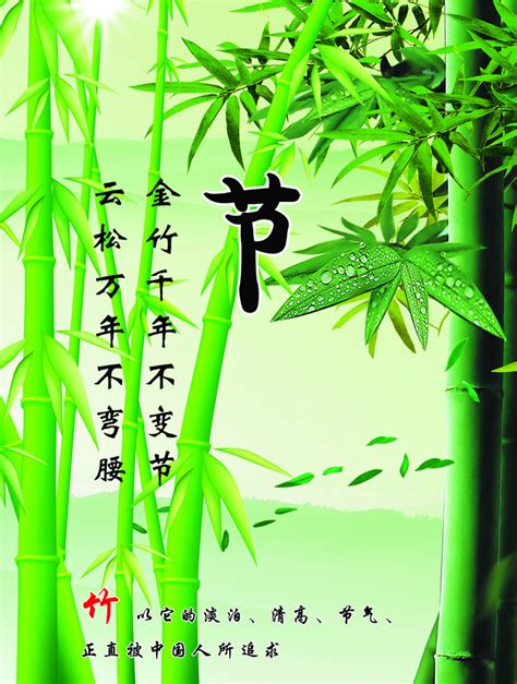 描写竹子的优美诗句 - 知乎