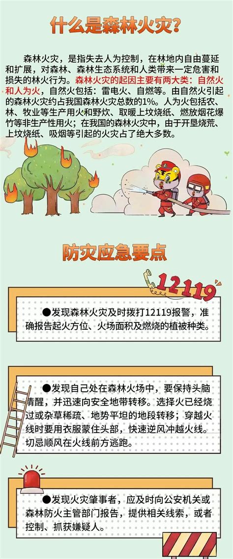 森林防火简报(2012)33期Word模板下载_编号lwdnrdpj_熊猫办公