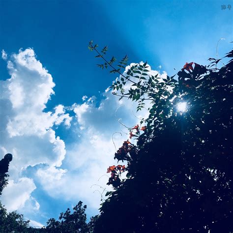 夏天极力推荐的避暑胜地，随便选一个都能清凉一夏！ - 知乎