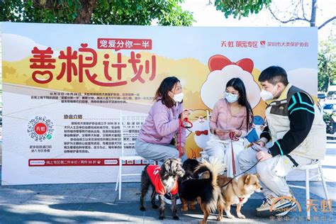 Shake Shack中国宠物友好2.0体验店——前滩太古里店开启试运营 - BANG!