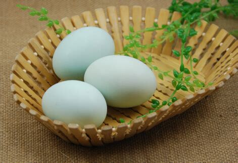 鸭蛋的功效与作用 吃鸭蛋的益处有什么-361健康网