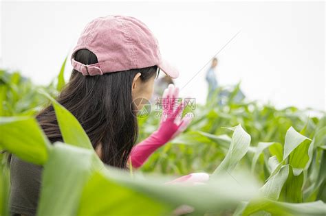 农田拿着农产品的女孩画像高清图片下载-正版图片502030445-摄图网