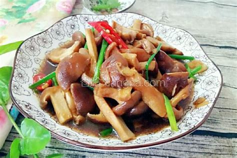菌菇靓汤火锅十大做法,菌菇靓汤火锅最好吃的10种做法 – 鲜吃货