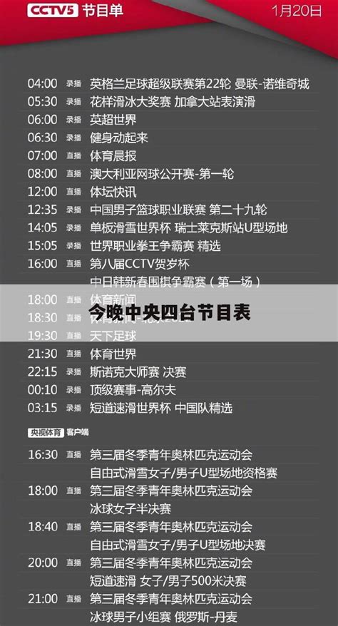 北京6套电视节目表Word模板下载_编号ldkzwnod_熊猫办公