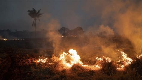 亚马逊雨林火灾后航拍画面曝光：一片荒凉。一段亚马逊雨林火灾后图片，画面上一片荒凉景象，树木被烧秃，蟒蛇在光裸的土地上爬行，令人痛心。大火已经 ...
