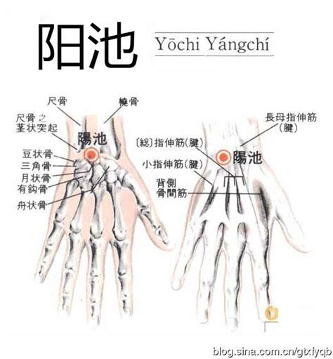 阳池准确位置图片