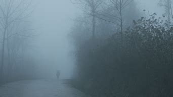 雾中风景-A - 无用一图 - 富士（中国）极致影像- FUJIFILM