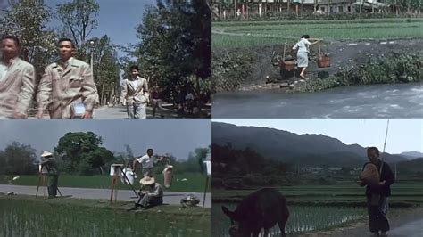 60年代的台湾社会生活影像1视频素材,历史军事视频素材下载,高清1920X1080视频素材下载,凌点视频素材网,编号:677854