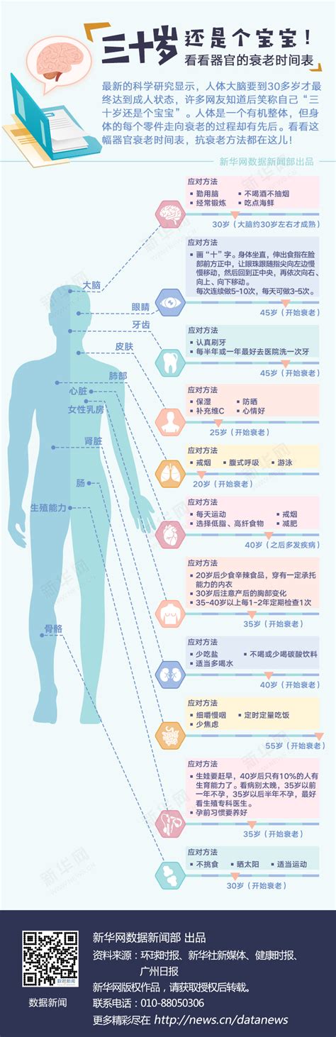看看器官的衰老时间表-中国吉林网