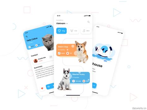 猫狗宠物交流交流平台app应用界面素材-XD素材中文网