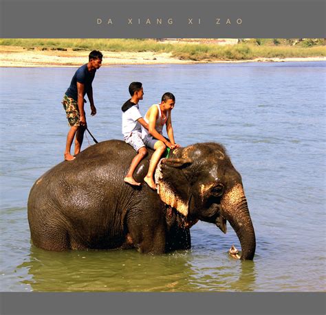 给大象洗澡的一家人图片-一家人在河里给大象洗澡素材-高清图片-摄影照片-寻图免费打包下载