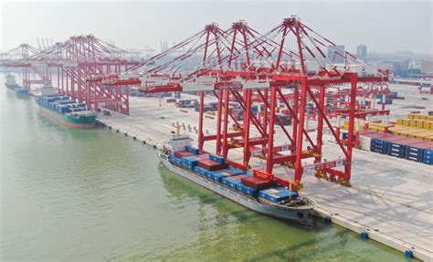 广州南沙粮食码头单月接卸量创新高-港口网