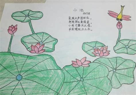 二年级梅花小池古诗手抄报怎么画简单又漂亮 - 巧巧简笔画