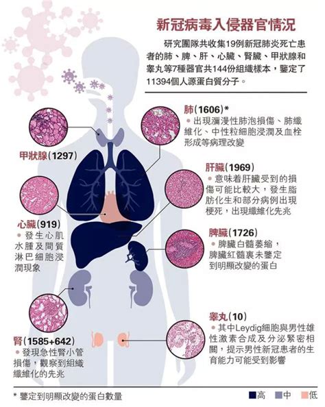 【疫情笔记】新冠肺炎（COVID-19）的病理生理学、传播、诊断和治疗 - 知乎
