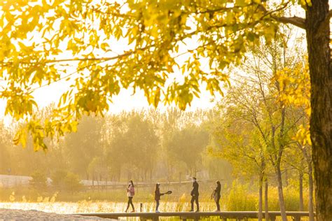 跟随滚动的车轮 瞰泸沽湖最美的秋色_航拍四川_总汇_图片_四川在线