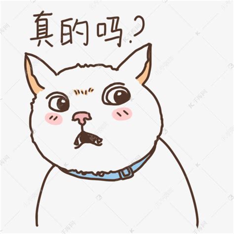 表情真的吗小猫咪插画素材图片免费下载-千库网