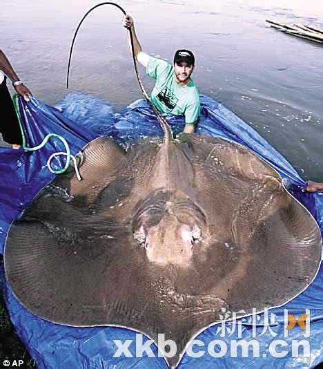 世界上十大吃鱼最多的国家 日本仅排第四,第一出乎意料_探秘志