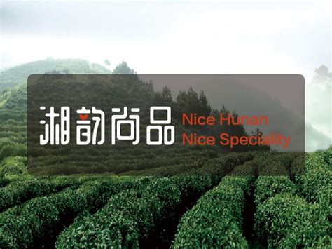 湖南旅游天门一号设计图__海报设计_广告设计_设计图库_昵图网nipic.com