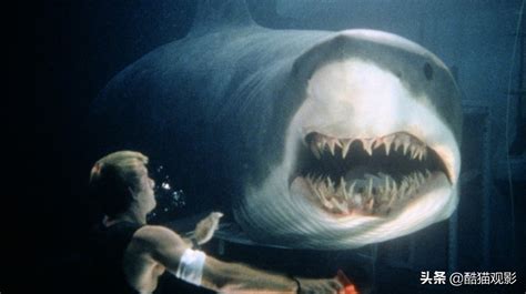 盘点四部电影中的变异鲨鱼，你觉得哪只更厉害，六头鲨最凶猛？_腾讯视频