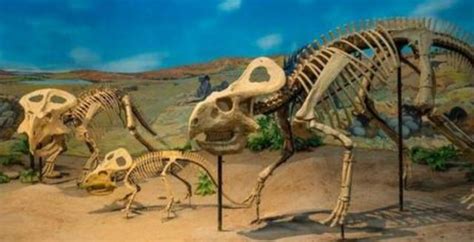 重磅!重庆发现世界级恐龙化石群