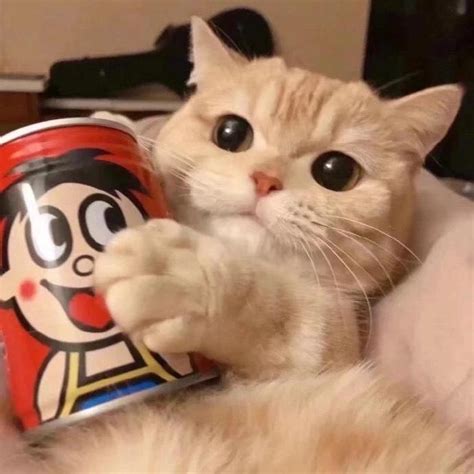 旺仔牛奶沙雕头像图片