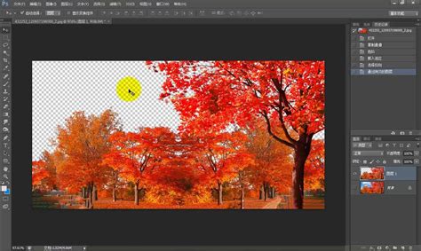 Photoshop CC入门到精通视频课程（敬伟PS教程）-视频教程-平面设计学习日记网-@酷coo豆
