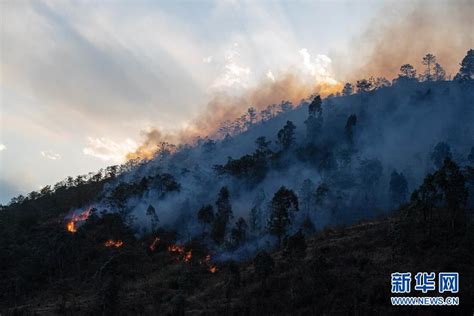 四川冕宁森林火灾：现场已有2000余人投入扑救 - 国内动态 - 华声新闻 - 华声在线