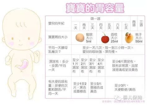 五个月婴儿奶量（新生儿的胃究竟有多大）-幼儿百科-魔术铺