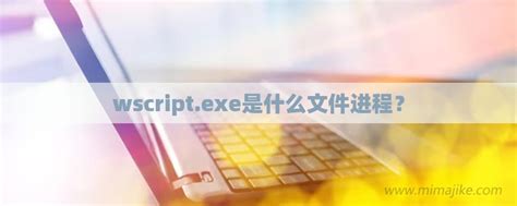 wscript.exe是什么文件进程？-密码极客