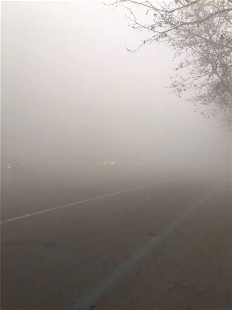 晨初，辽宁丹东大雾弥漫，萦绕城市楼宇之间，宛如仙境