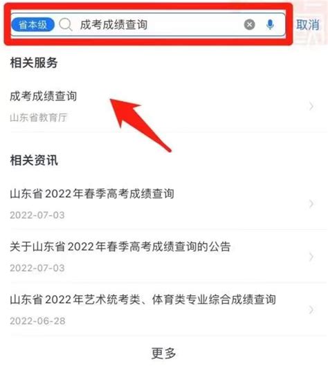 济宁经济技术开发区 通知公告 查分啦！成考成绩公布！入口看这→