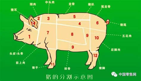 猪肉价格还要“飞”多久？-经济-长沙晚报网