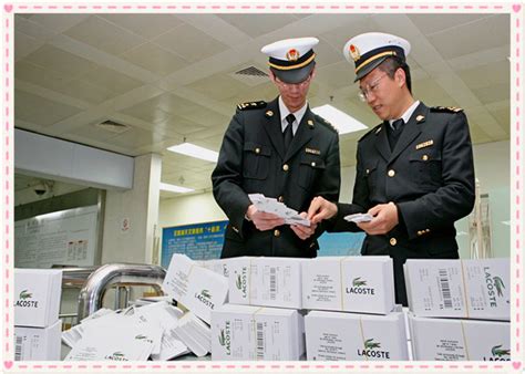 进口报关代理深受用户欢迎的原因 - 上海进口报关 - 上海天鸣国际货物运输代理有限公司