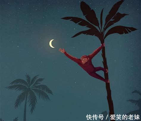 有深意的图片