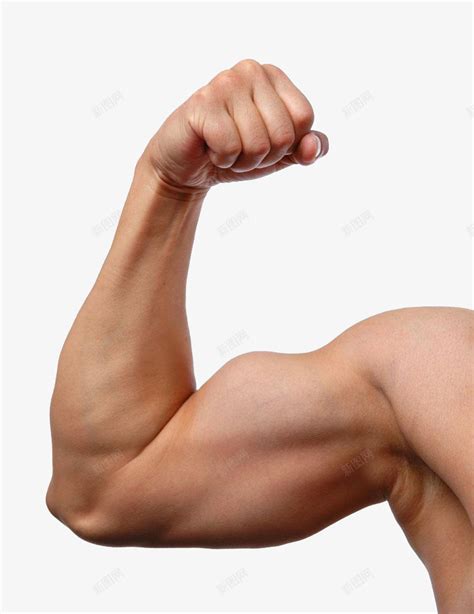 手臂肌肉的男png图片免费下载-素材7JmkgeUaW-新图网