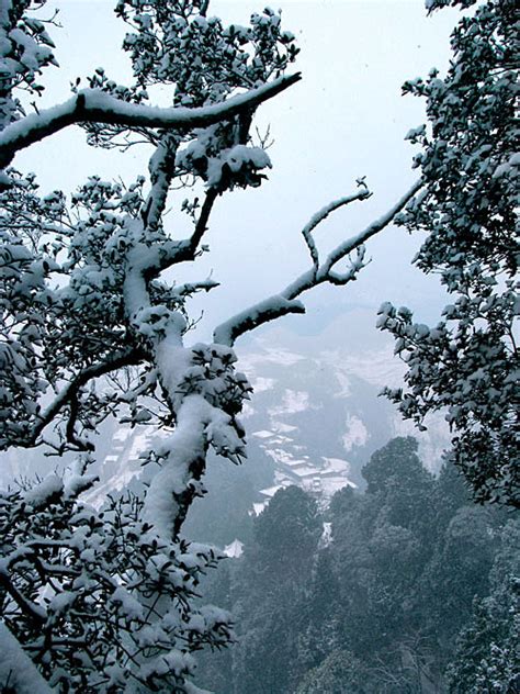 【记录2008年1月的一场雪摄影图片】巴中生态摄影_巴中杨通·本色摄影·自娱自乐_太平洋电脑网摄影部落
