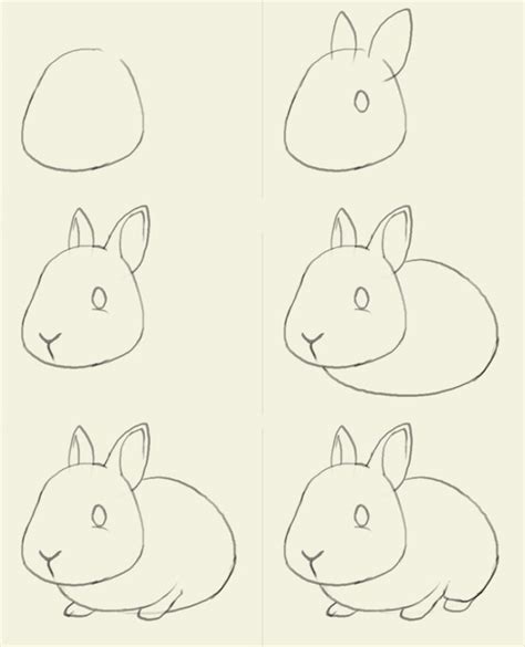 可爱小兔子的画法，小兔子卡通画怎么画？(2)[ 图片/9P ] - 才艺君