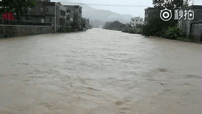 暴雨天安全指南，转给更多的人-湖北省应急管理厅